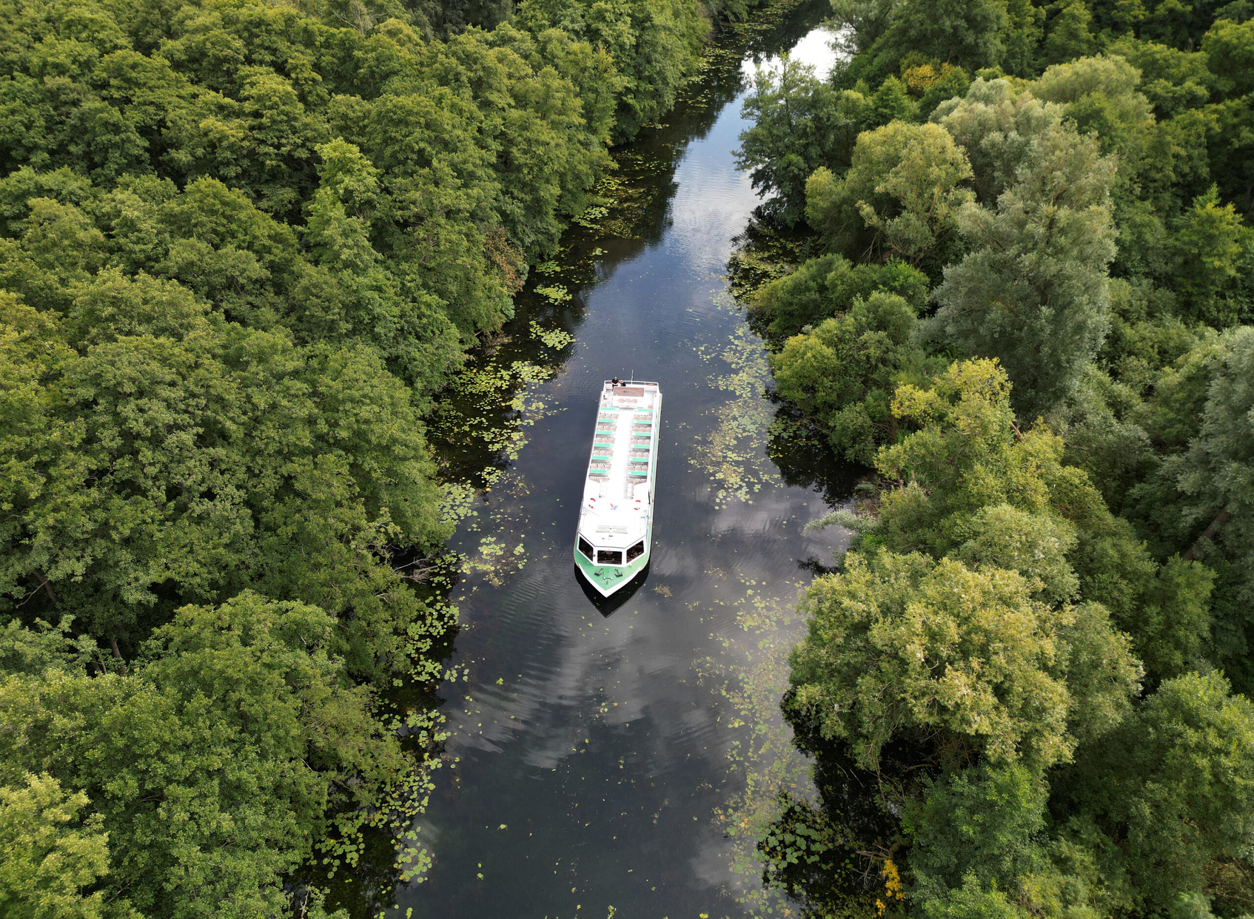Wakenitz Schifffahrt Luebeck Naturlandschaft