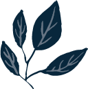 Grafikelemente Blatt